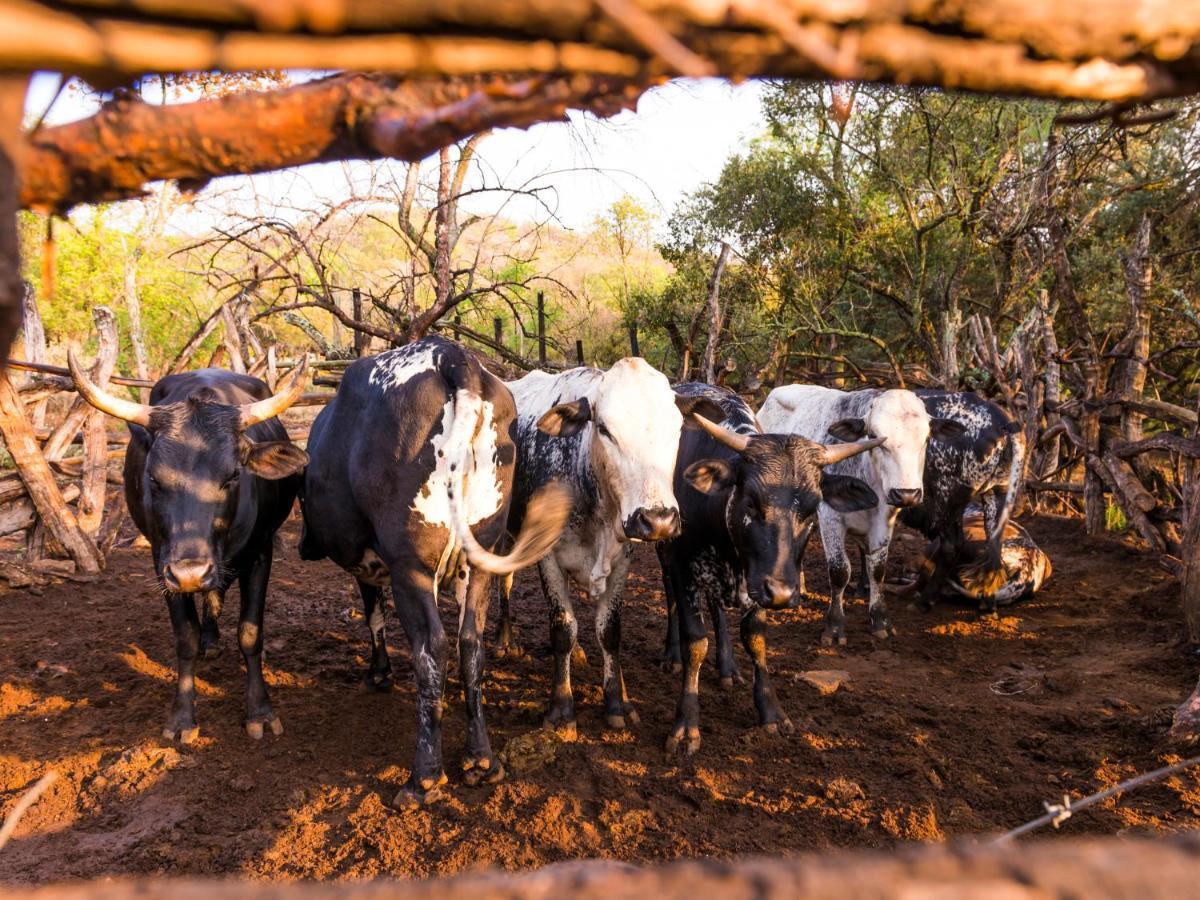 Aha Lesedi African Lodge & Cultural Village Broederstroom Exteriér fotografie